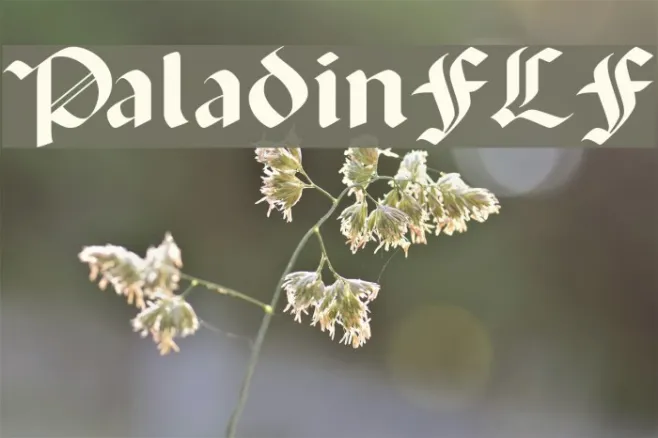 PaladinFLF Example 2