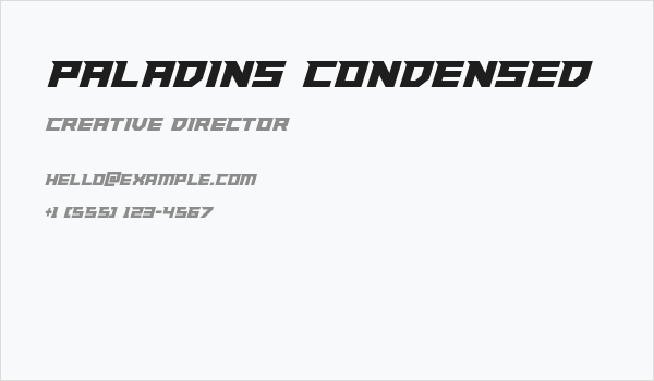 Paladins Condensed Business Card