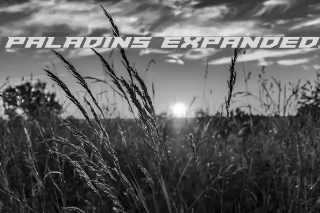 Paladins Expanded Font examples