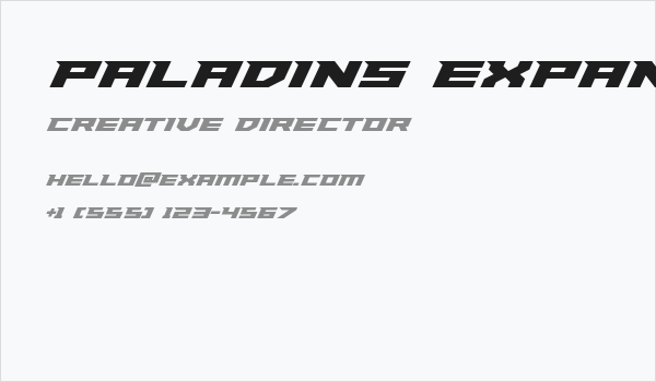Paladins Expanded Business Card