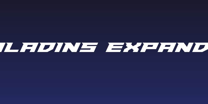 Paladins Expanded Social Header