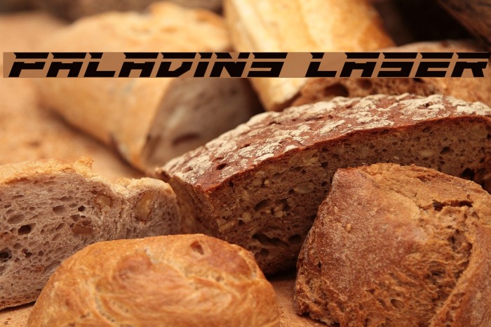 Paladins Laser Font examples