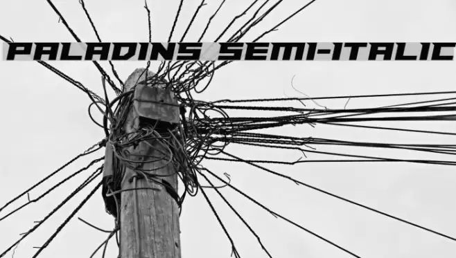 Paladins Semi-Italic Caratteri examples