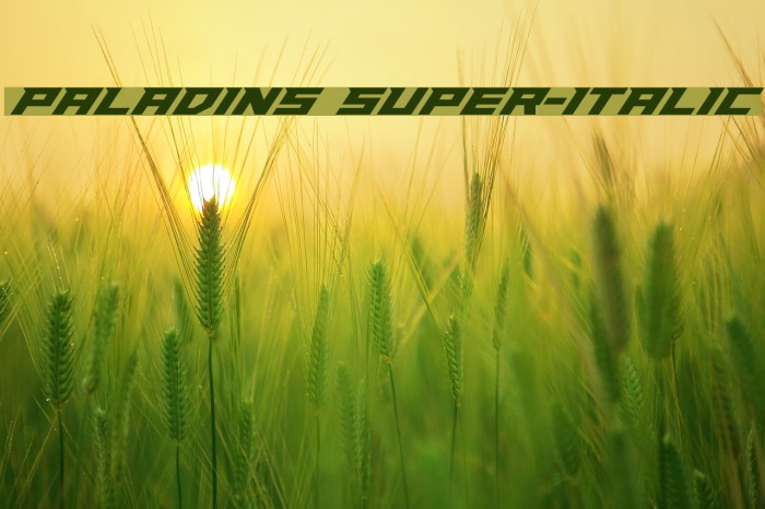 Paladins Super-Italic Font examples