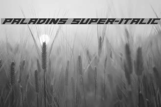 Paladins Super-Italic フォント examples