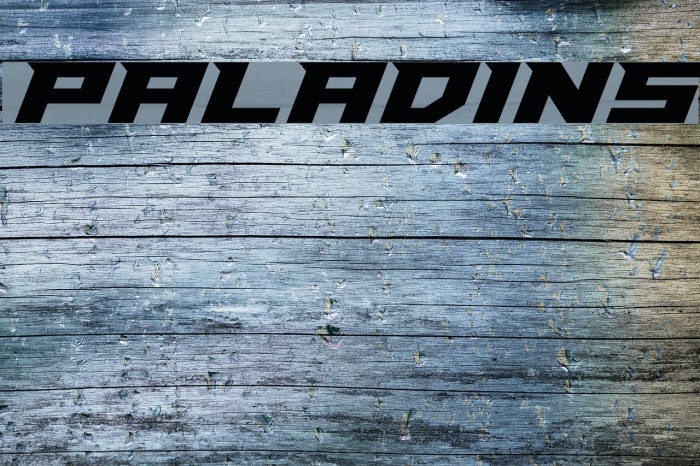 Paladins Schriftart examples