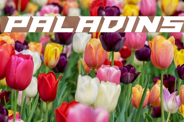 Paladins Schriftart examples