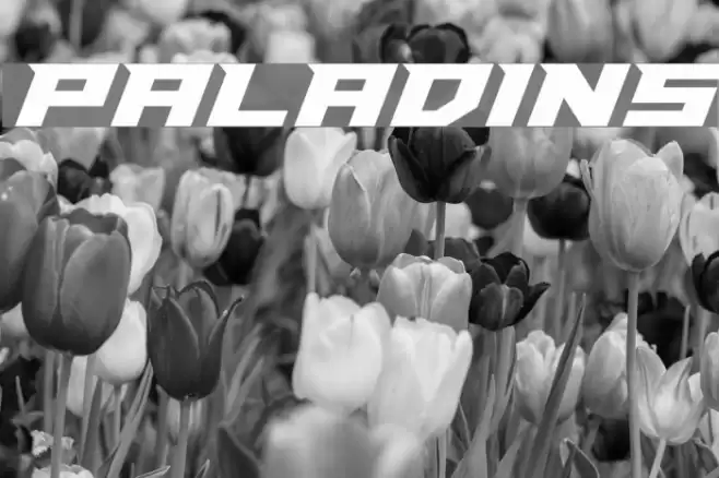 Paladins Font examples