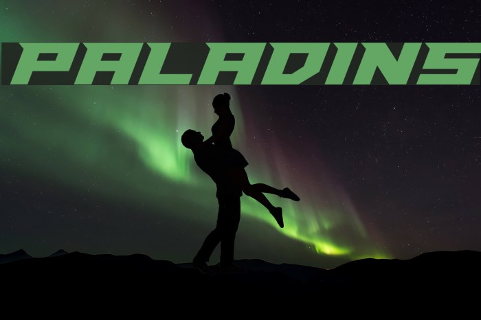 Paladins Schriftart examples