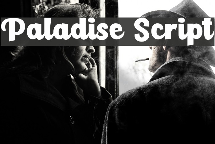 Paladise Script Example 1