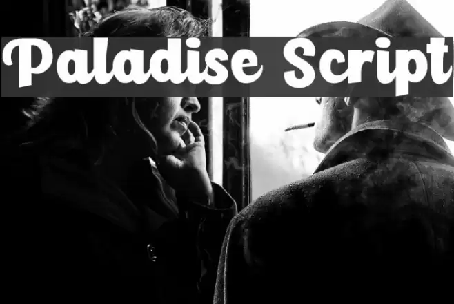 Paladise Script Font examples