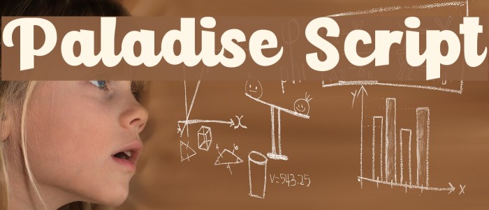 Paladise Script Example 2