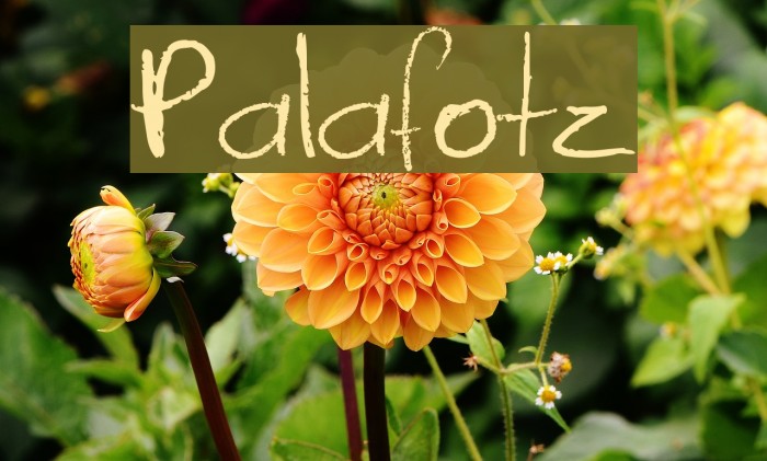 Palafotz Font examples