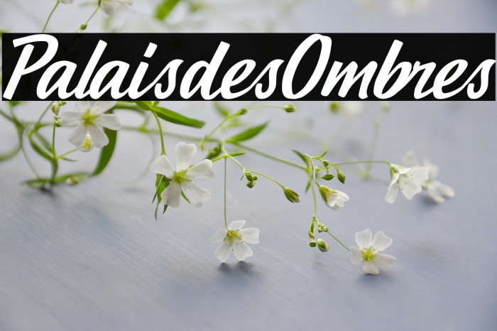 Palais des Ombres Example 1