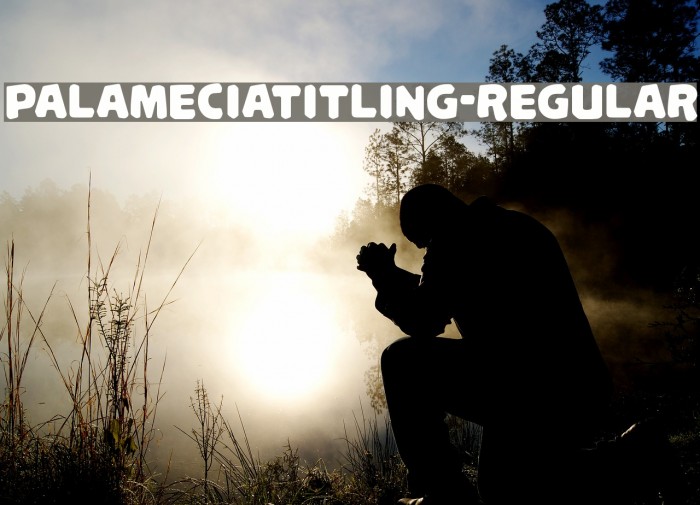 PalameciaTitling-Regular Font examples