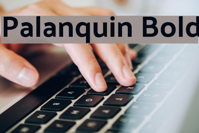 Palanquin Bold Font examples