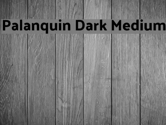 Palanquin Dark Medium Font examples