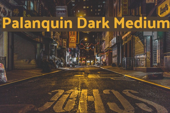 Palanquin Dark Medium Example 2