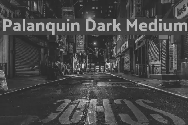 Palanquin Dark Medium Font examples