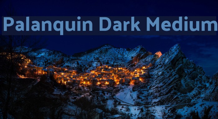 Palanquin Dark Medium Example 3