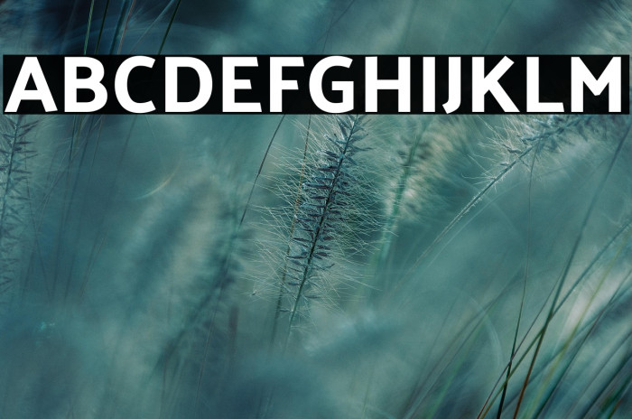 Palanquin Dark Regular Example 1