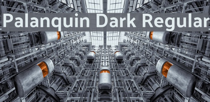 Palanquin Dark Regular Font examples