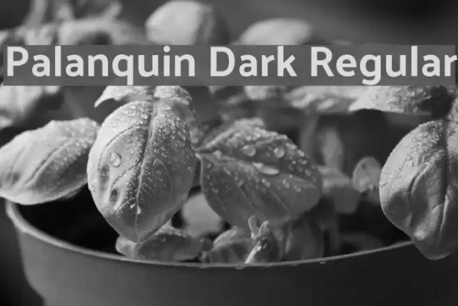 Palanquin Dark Regular Font examples