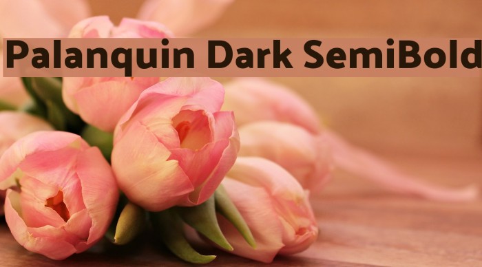 Palanquin Dark SemiBold Font examples