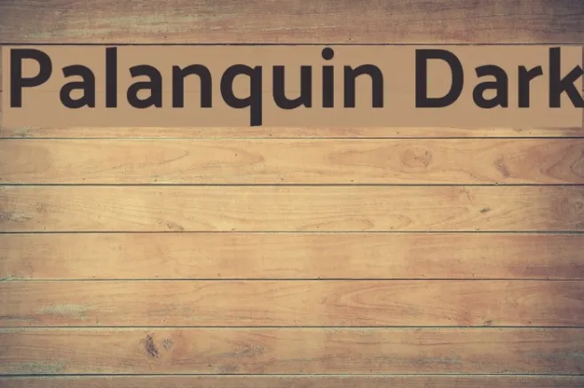 Palanquin Dark Example 1