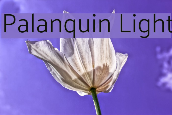 Palanquin Light Font examples