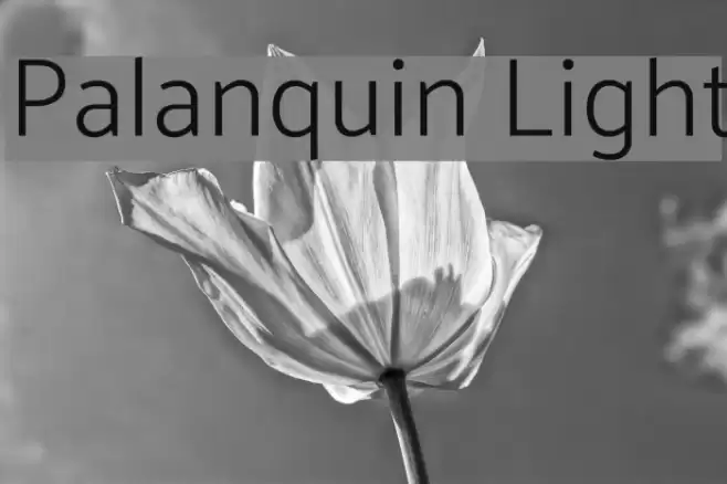 Palanquin Light Font examples
