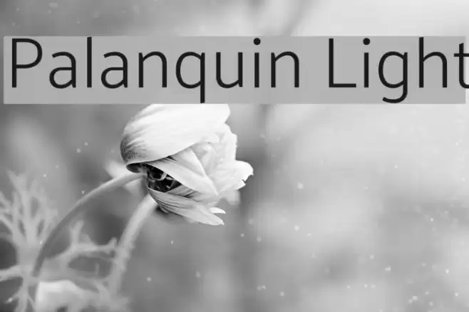 Palanquin Light Font examples