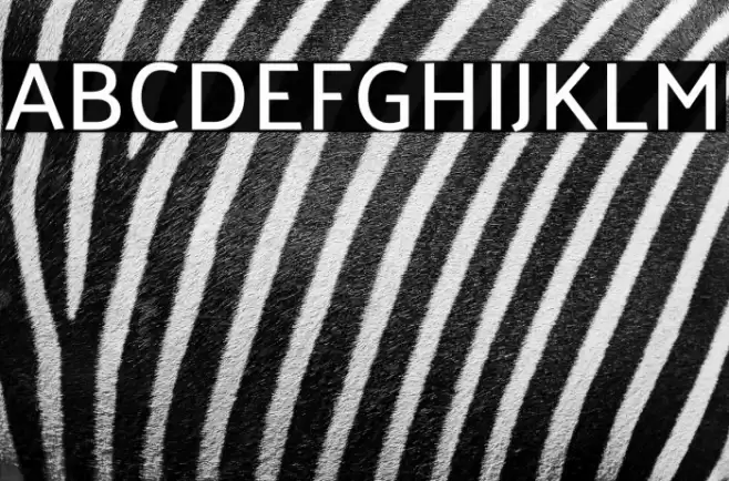 Palanquin Medium Font examples