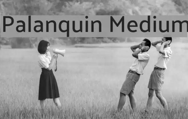 Palanquin Medium Font examples