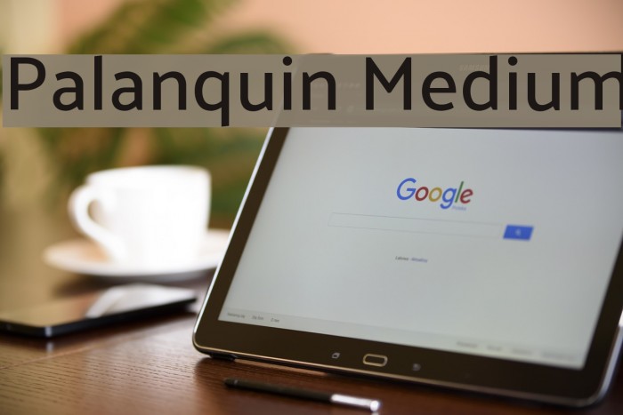 Palanquin Medium Font examples