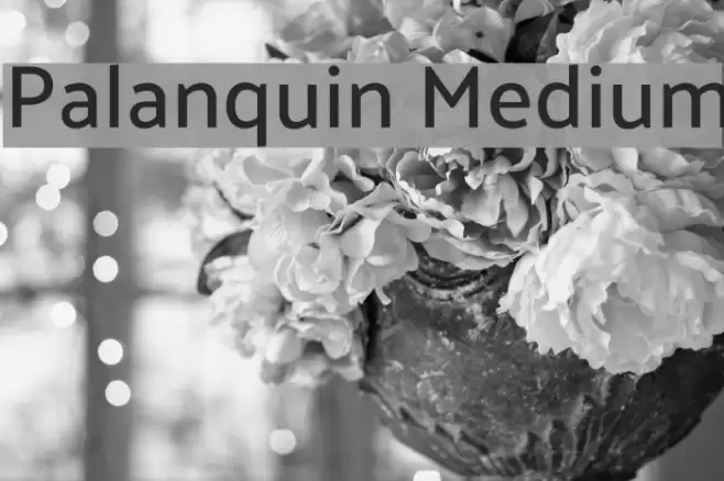 Palanquin Medium Font examples