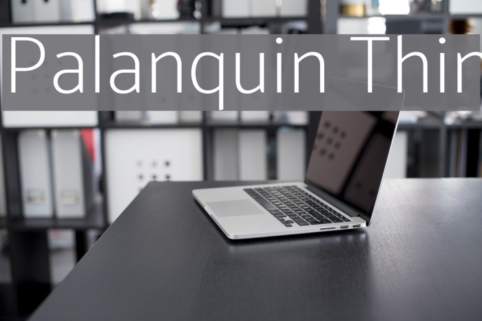 Palanquin Thin Font examples