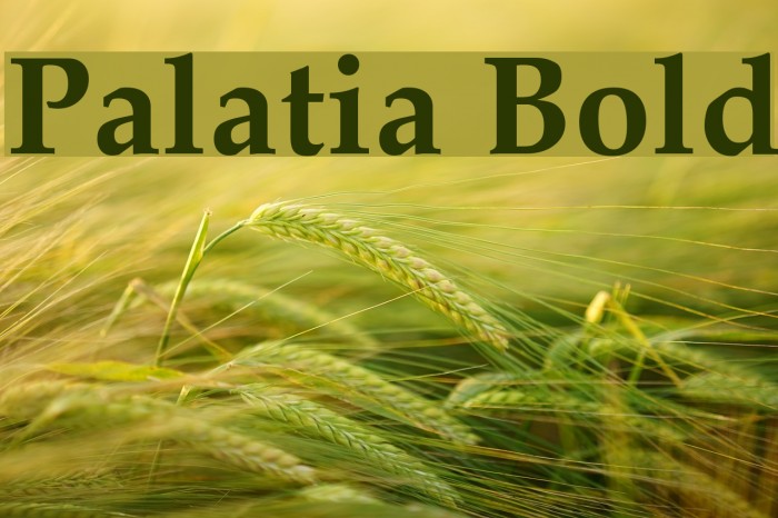 Palatia Bold Font examples