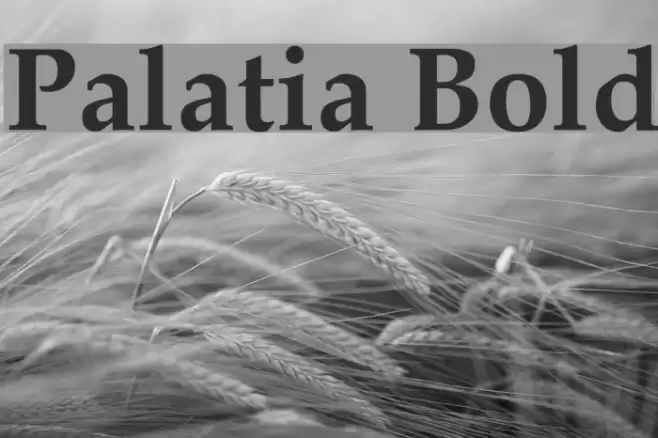 Palatia Bold Font examples