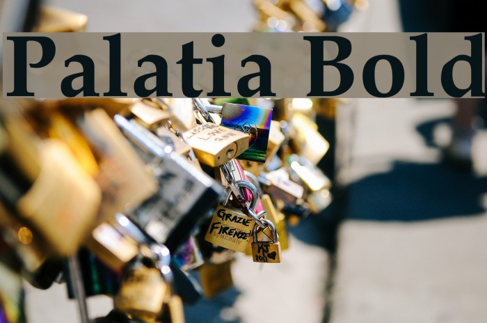 Palatia Bold Font examples