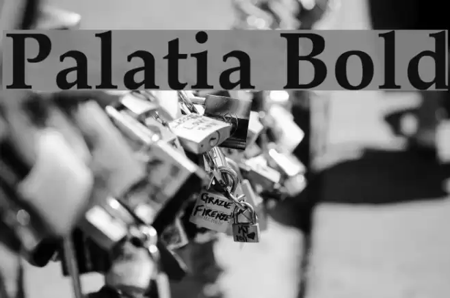Palatia Bold Font examples