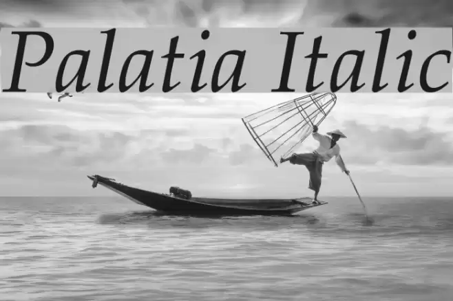 Palatia Italic Font examples
