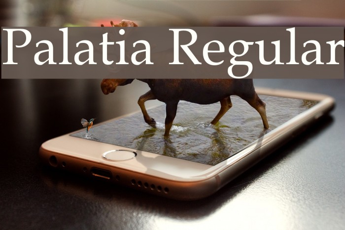 Palatia Regular Font examples