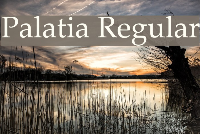 Palatia Regular Font examples