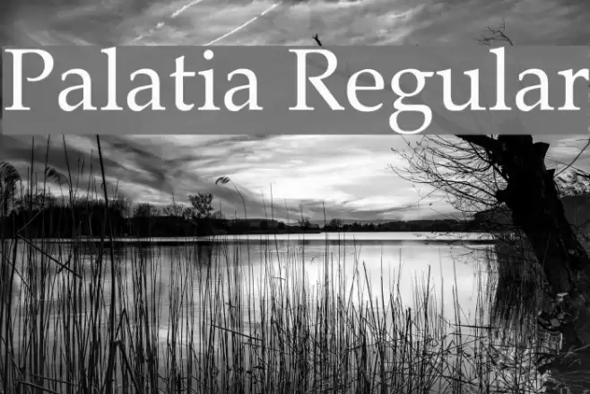 Palatia Regular  examples