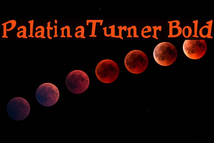 PalatinaTurner Bold Font examples