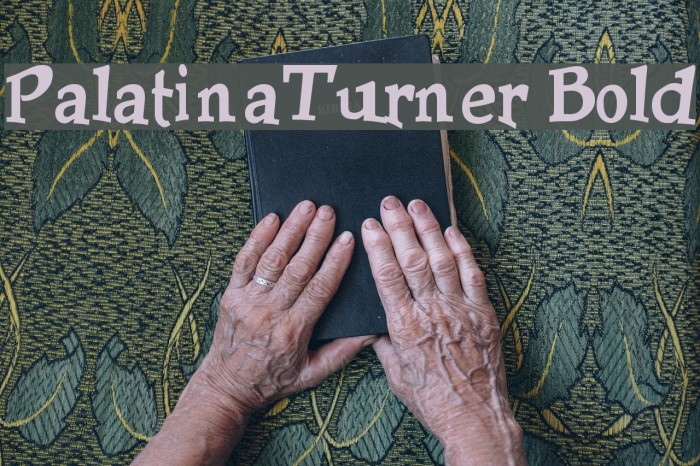 PalatinaTurner Bold Font examples