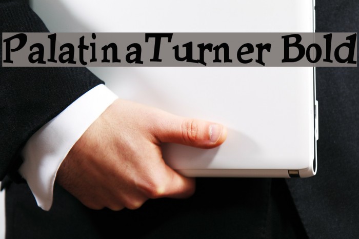 PalatinaTurner Bold Font examples