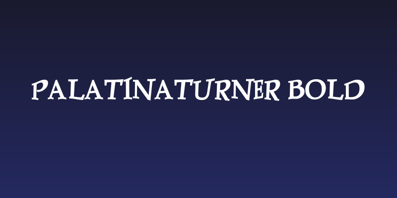 PalatinaTurner Bold Social Header