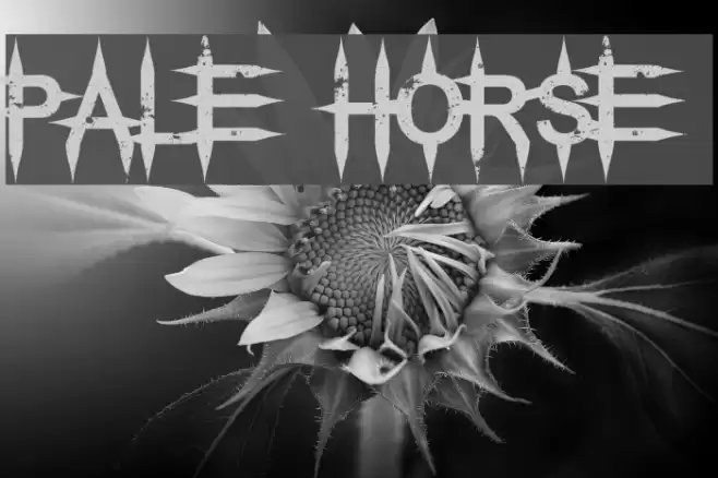 Pale Horse Font examples